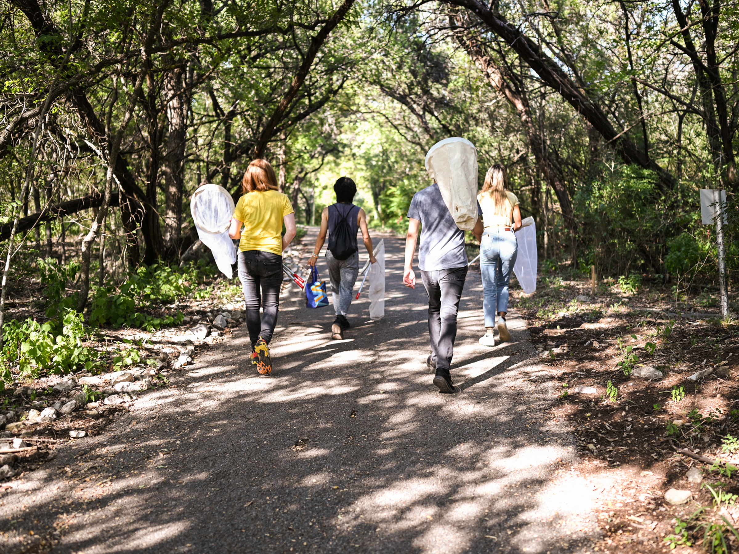 A photo of students carrying butterfly nets in a wooded area at BFL.