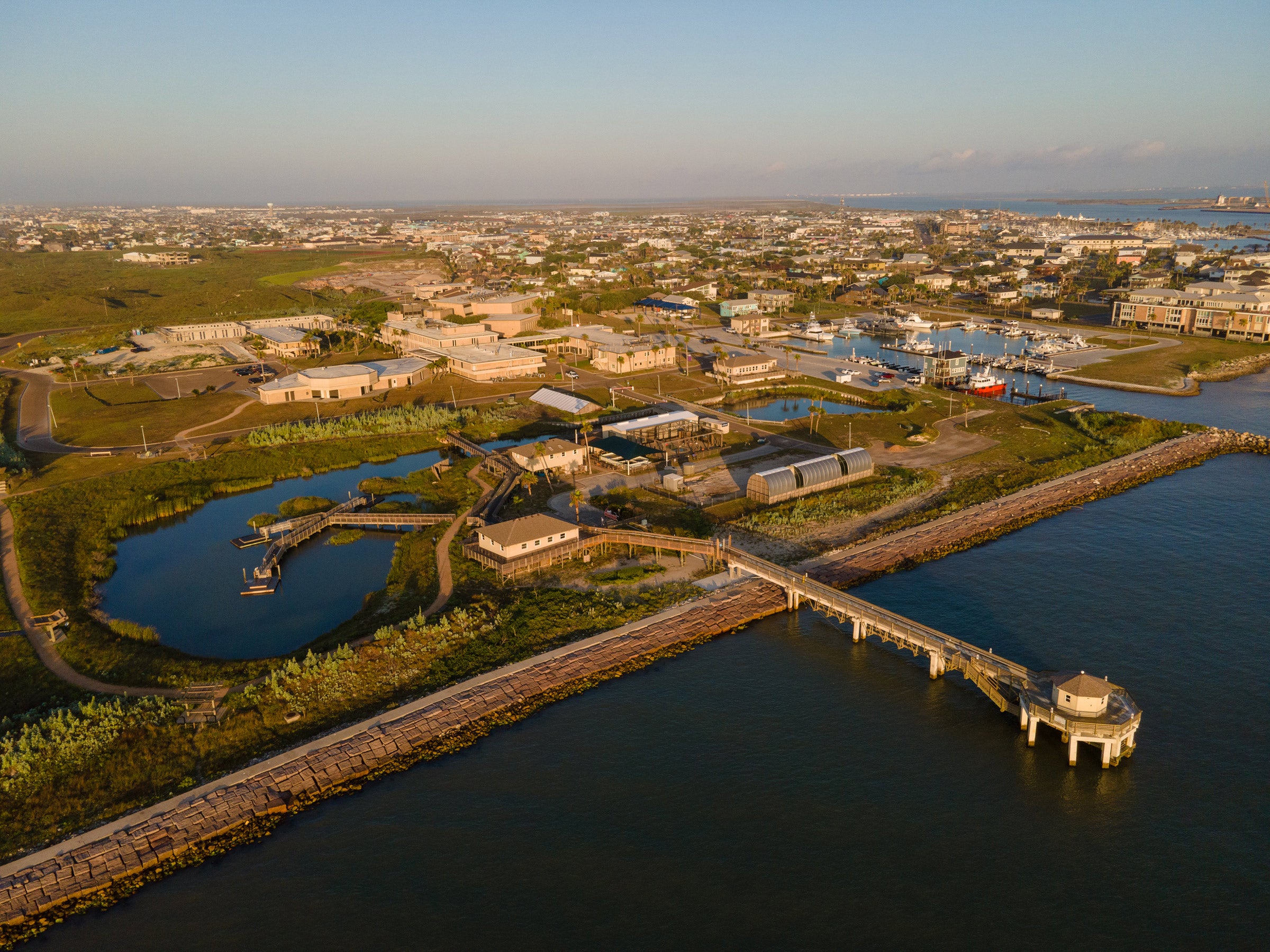 Aerial photo of MSI campus at Port Aransas